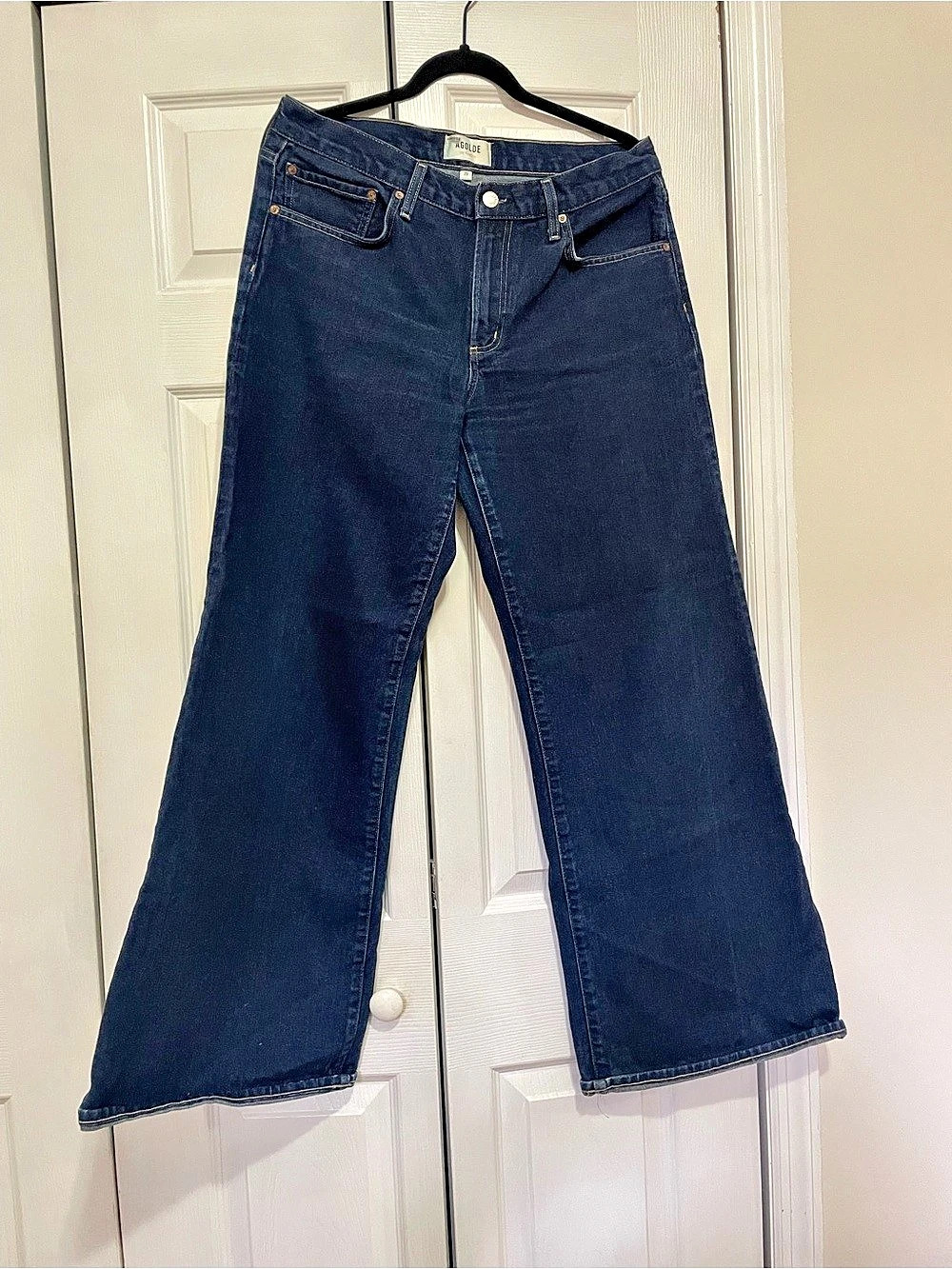 AGOLDE Ren High Waist Wide Leg Jeans Blue Waist 29